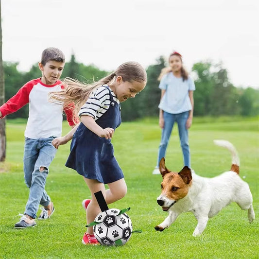 Interactive Football for Dogs